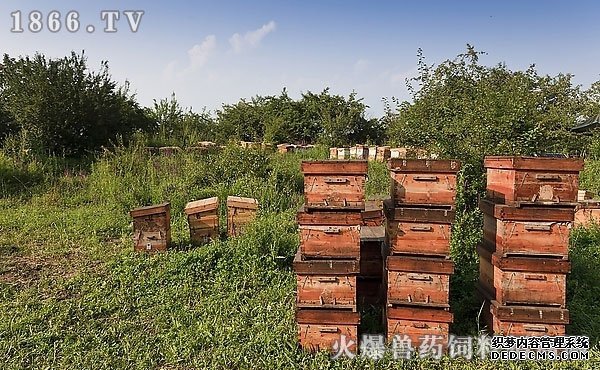 蜜蜂箱怎么做，蜜蜂箱的制作