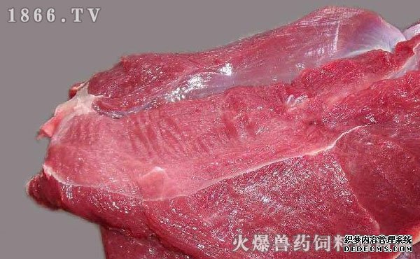     鹿肉好吃吗