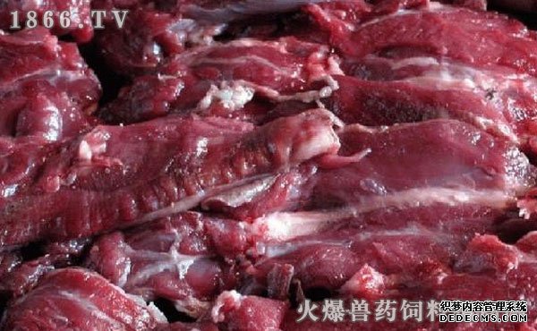     貉子肉能吃吗