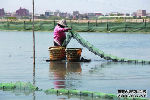 跳跳鱼繁育与养殖技术 （3）